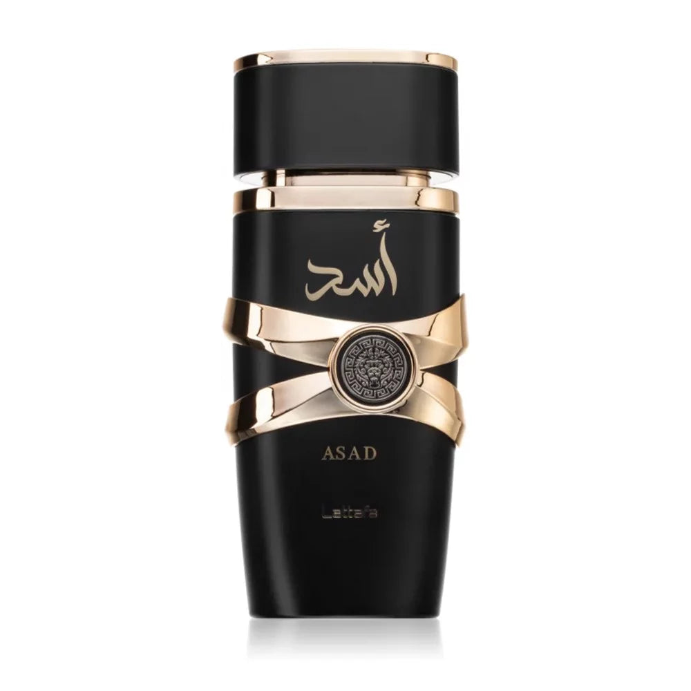 Parfum Dubai HASAD by Lattafa Perfumes (100 ml) Homme